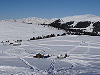 Langlauf Würzjoch